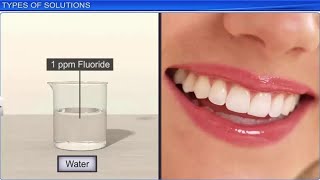 CBSE Class 12 || Solutions || Full Chapter || by Shiksha House