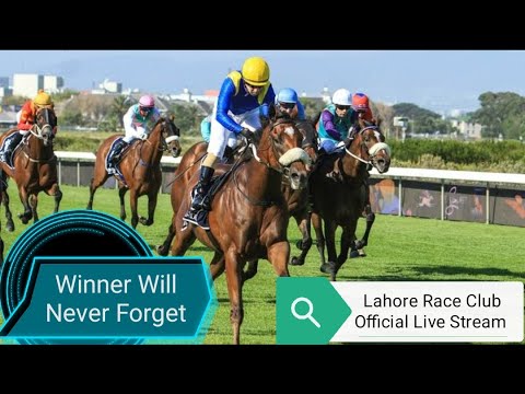 11TH DAY THE SUNDAY 13TH NOV 2022