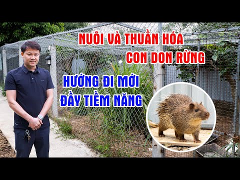 Raising and Domesticating Wild Don - A New and Potential Direction in Raising Specialty Animals |...