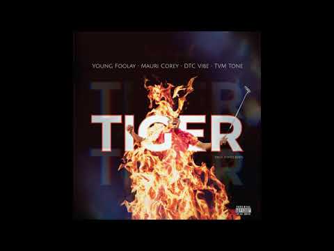 Young Foolay x Mauri Corey x DTC Vibe x DtoneBeatz -  "TIGER" (Prod. D'Niro Beatz)