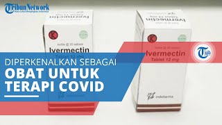 Mengenal Ivermectin, Obat Anti Parasit untuk Terapi Covid-19 yang Diperkenalkan Erick Thohir