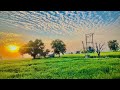 Farmer WhatsApp Status Farmer Song Status WhatsApp Status   Shorts Status