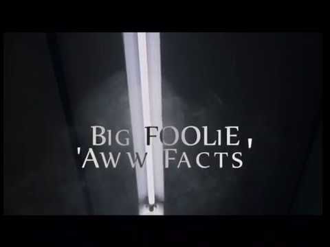 HotBoyFoolie - Big Foolie " Aww Facts "