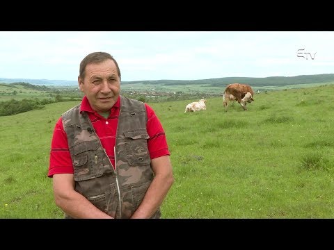 Tájkép: vidéki orvoslás és álattenyésztés – 2019. június 3.