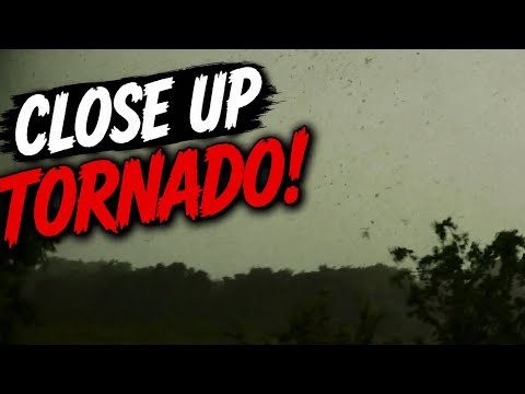 Bowie Tx Weather