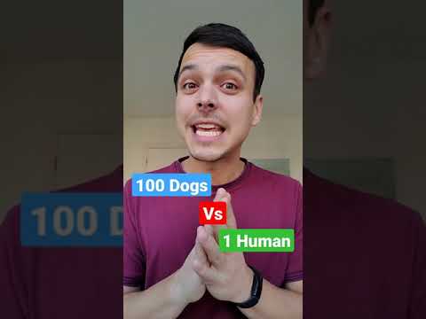你會救100只狗還是1個人？#短褲 (Would you save 100 dogs or 1 human? #shorts)