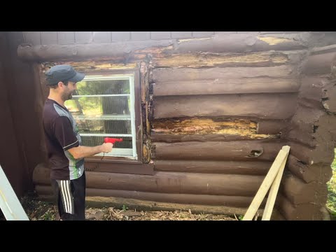 Getting rid of termites and fixing the wall at my house before I go to the Philippines