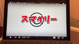 【実在する馬の名前がもはやツッコミ待ち】っていう動画見ながら喋ってみた！