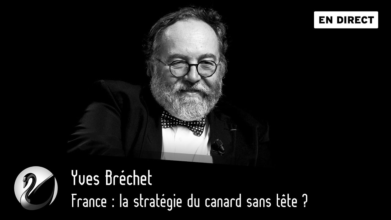 France : la stratégie du canard sans tête ? Yves Bréchet