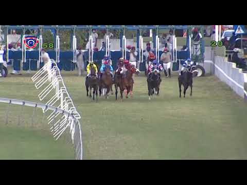 RM5 R8 | Ballantine Hall | J.Bardottier