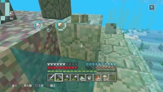 []　初心者が行くマイクラ配信