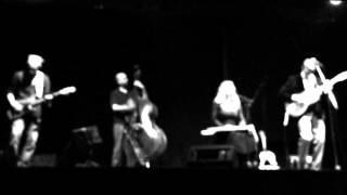 Bumble Bee - Luke Winslow King