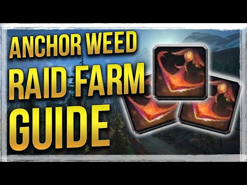 WoW BfA: Anchor Weed Raid Farming - Gold Guide