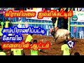 விராலிமலை ஜல்லிக்கட்டில் சாம்பிராண�