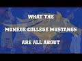 What the Monroe College Mustangs are All About