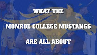 What the Monroe College Mustangs are All About