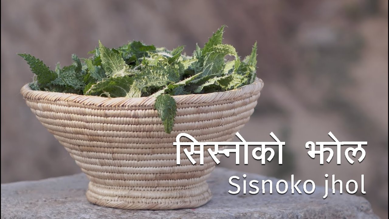 Sisnoko Jhol (सिस्नोको झोल) The Stinging Nettle curry,  food recipes possessing medicinal value.
