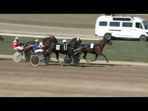 2017.04.01. 1. futam - FENYVES DÍJ