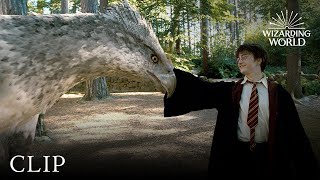 Meet Buckbeak | Harry Potter and the Prisoner of the Azkaban in HINDI