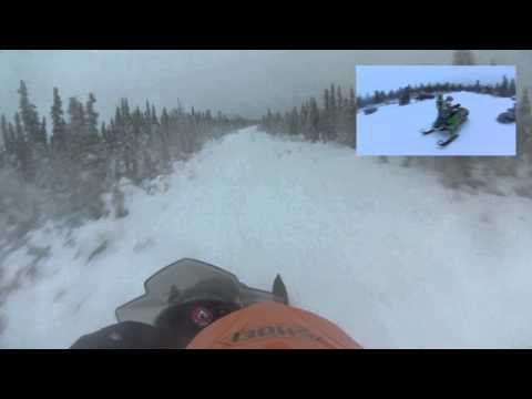 Iron Dog Training Team 36 2015