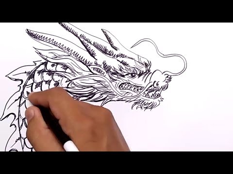 download lagu mp3 mp4 Tutorial Menggambar Naga, download lagu Tutorial Menggambar Naga gratis, unduh video klip Tutorial Menggambar Naga