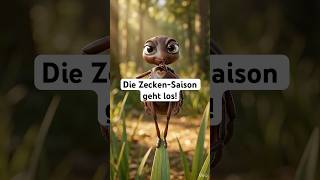 Zeckenbisse verhindern – optimaler Zeckenschutz mit Silberkraft! 🌱