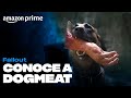 Fallout Dogmeat Amazon Prime