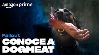 Fallout - Dogmeat | Amazon Prime