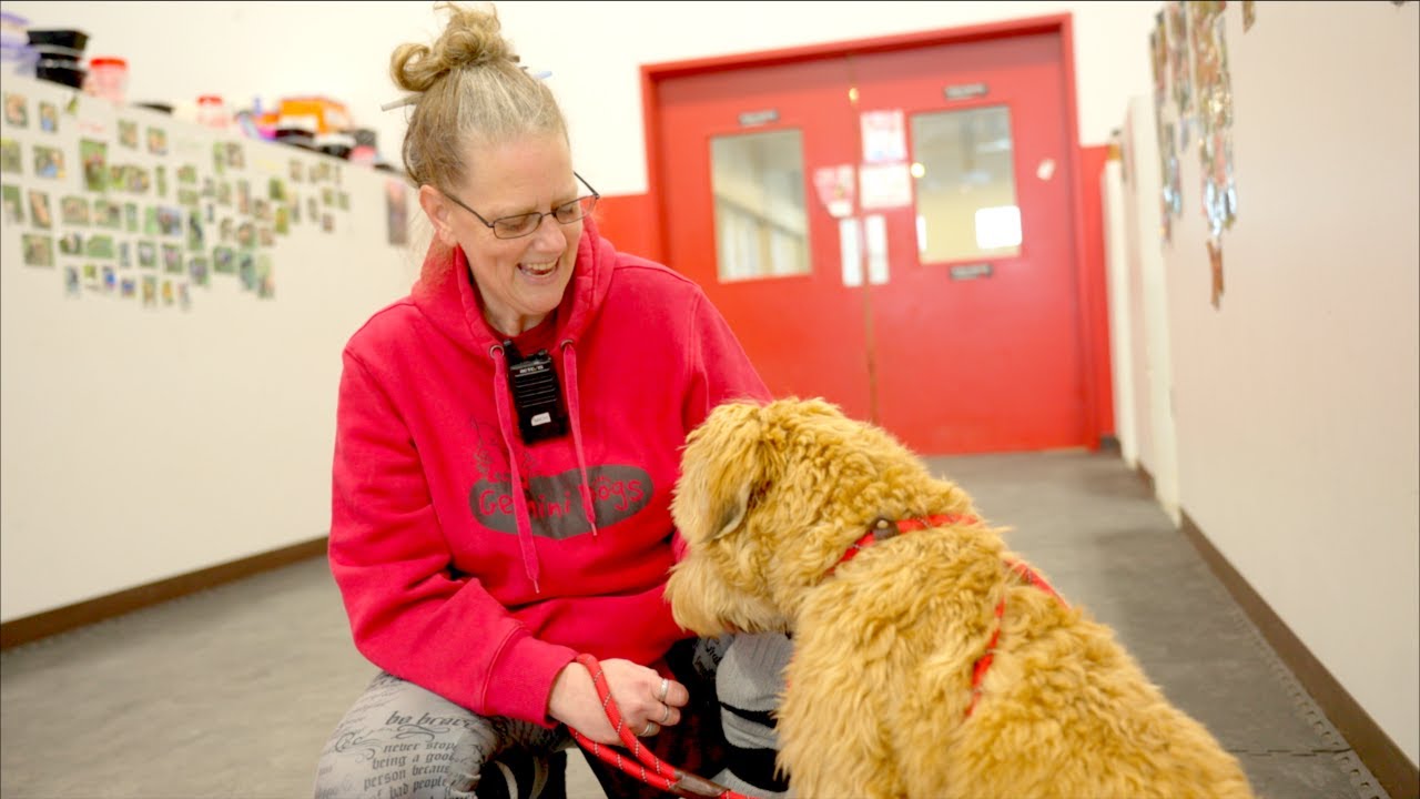 Michelle Allen of Gemini Dogs