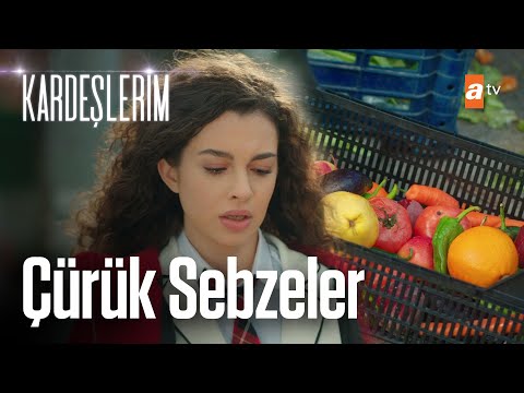 Kardeşlerin parası bitti! - Kardeşlerim 6. Bölüm