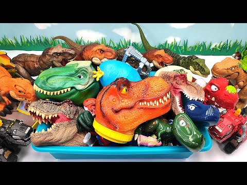 50 Tyrannosaurus Dinosaurs! Giant T-Rex Head, Transformer Dino Eggs, Skeleton, Dino Robot 티라노