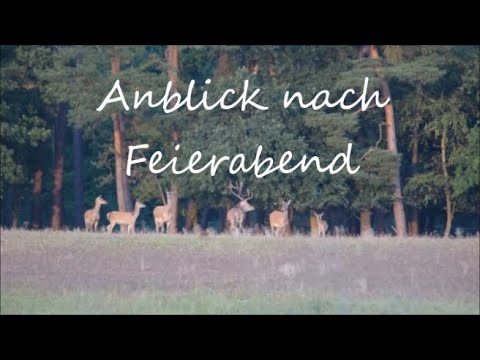 Anblick nach Feierabend