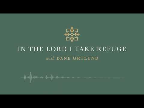 In the Lord I Take Refuge: Psalm 20 - Trust in the Name of the Lord Our God
