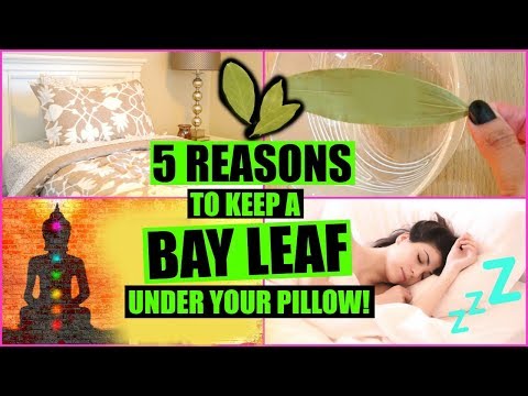 download lagu mp3 mp4 One Bay Leaf, download lagu One Bay Leaf gratis, unduh video klip One Bay Leaf