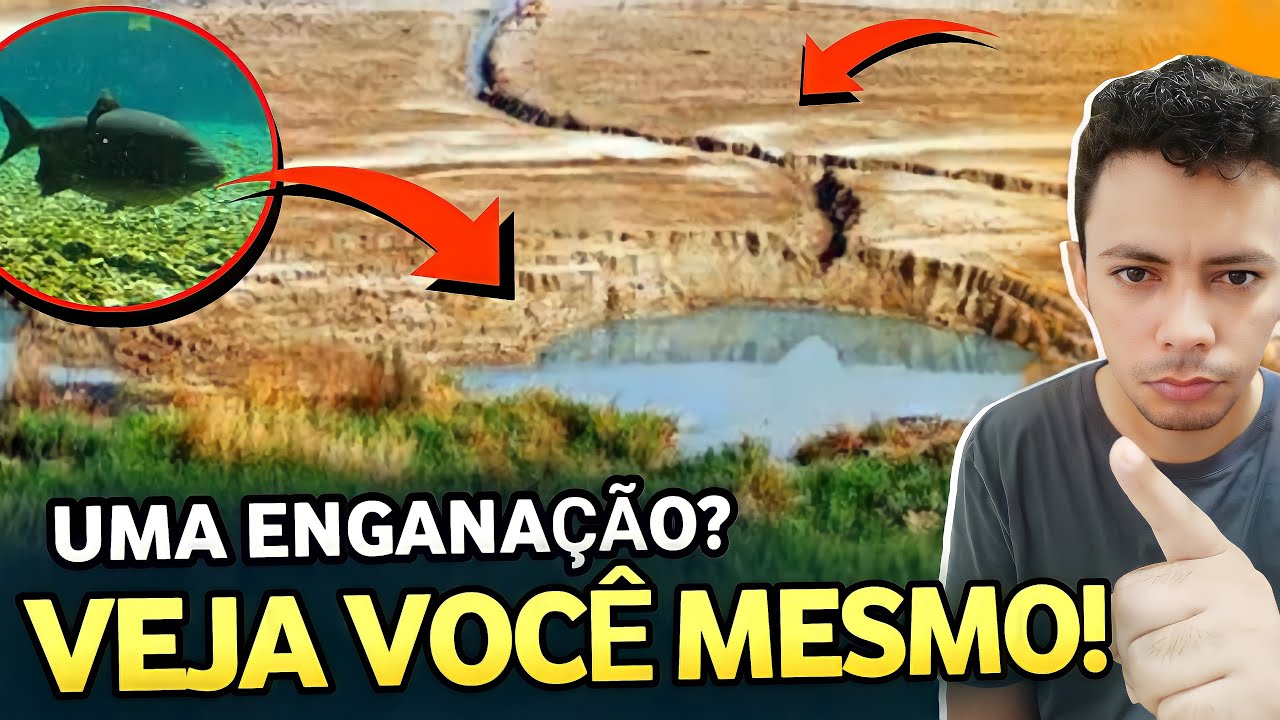 PEIXES NO MAR MORTO? Descubra TUDO que está ACONTECENDO e FIQUE LIGADO o “Noivo Vem Aí!”