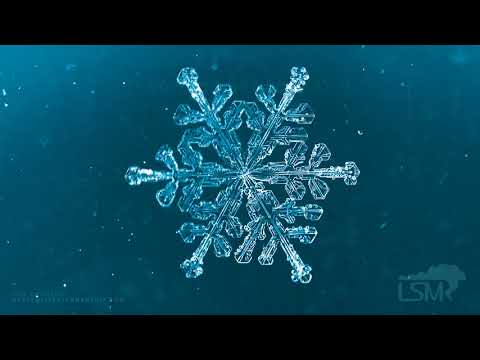 10-22-2020 Rapid City, SD - Overnight Snow and Snowflake Close-Ups
