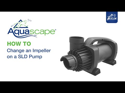 How to Maintain Your Pond Pump