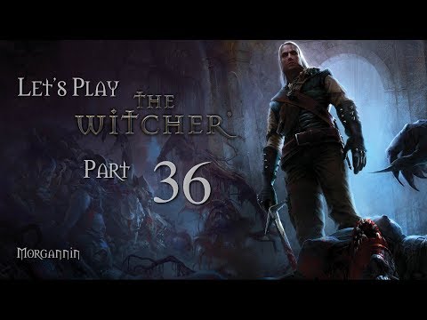 THE WITCHER - Part 36 [Ripples] Let's Play Walkthrough