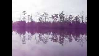 preview picture of video 'Ochlockonee River'