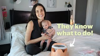 How We Potty Trained Our Newborn Babies with Elimination Communication (We did it with Twins!)