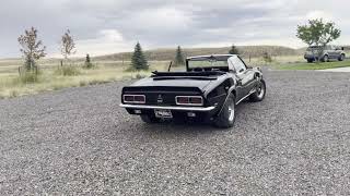 1968 Chevrolet Camaro Convertible-Walk Around