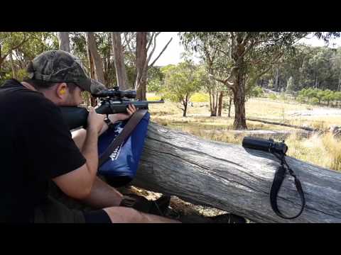 Shooting new Sauer 404