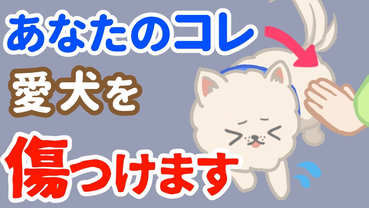 【愛犬を傷つける】知らずにやってる犬へのストレス行為5選