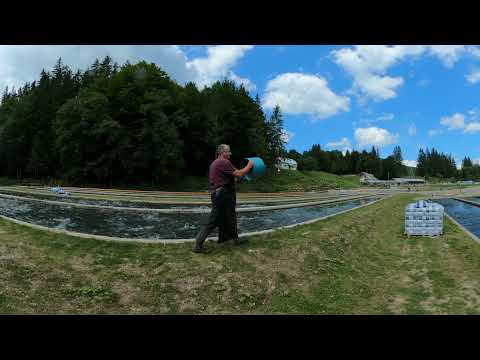 Păstrăvăria Valea Stânii – Zăganu VR 360