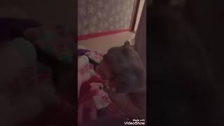 百日後に死なないカバ