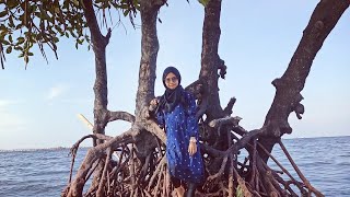 Download lagu Pulau Cinta Muara Teluk Naga Tangerang ❤️ |Traveling mp3 Download lagu Pulau Cinta Muara Teluk Naga Tangerang ❤️ |Traveling mp3