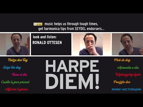 HARPE DIEM! Tongue block exercise by Ronald Ottesen - SEYDEL