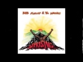 Bob Marley & The Wailers - Work (HQ) 