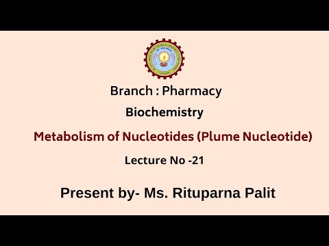 Metabolism of Nucleotides (Purine Nucleotide)
