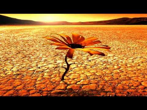 Matan Caspi - Desert Flower (Oasis Mix)